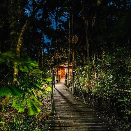 Daintree Wilderness Lodge Kültér fotó