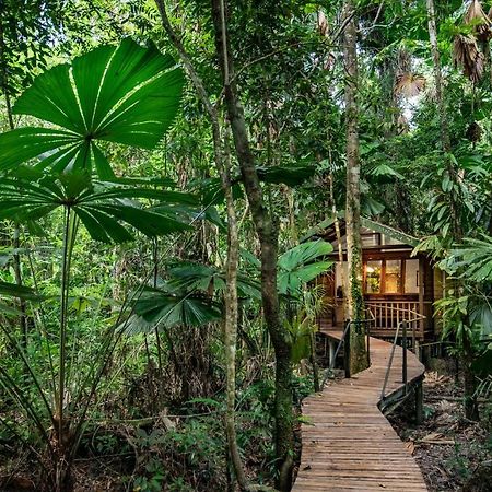 Daintree Wilderness Lodge Kültér fotó
