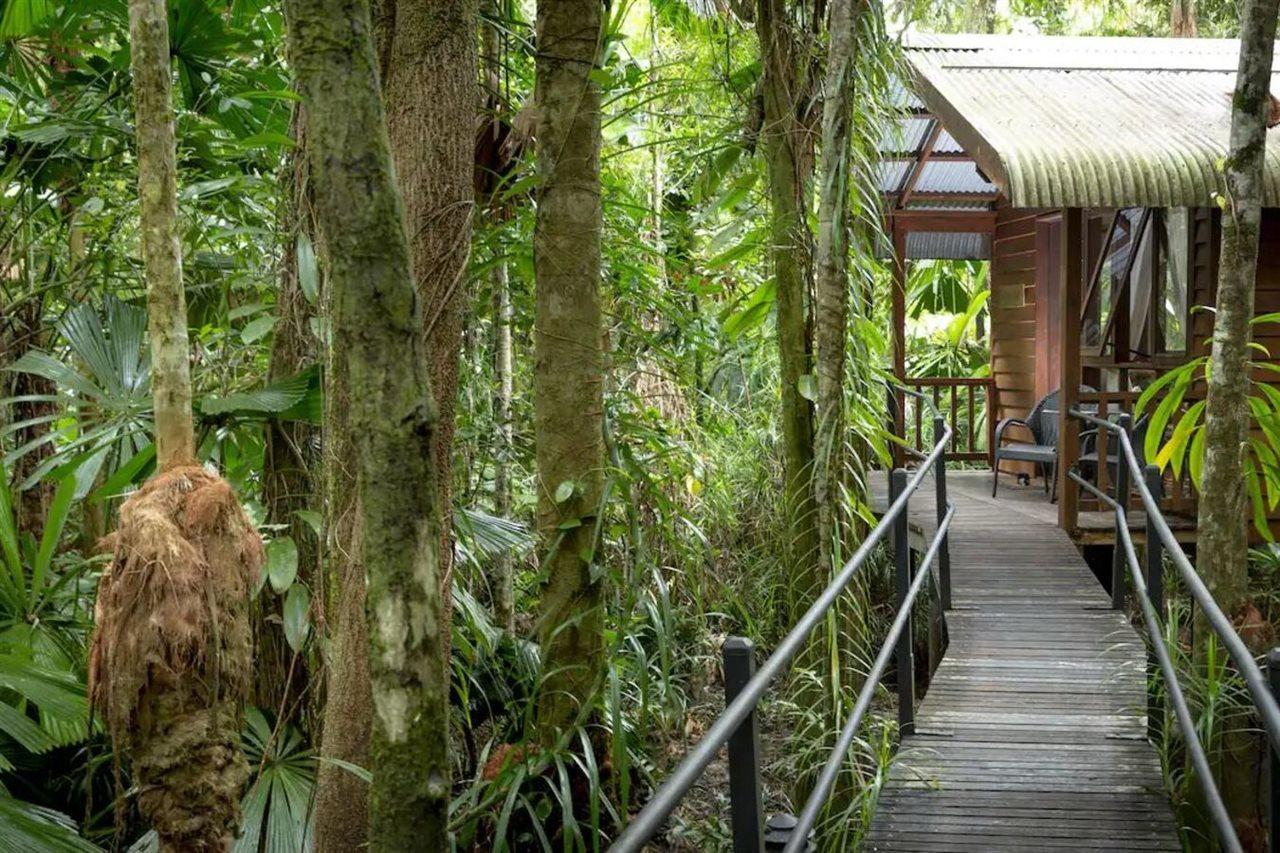 Daintree Wilderness Lodge Kültér fotó