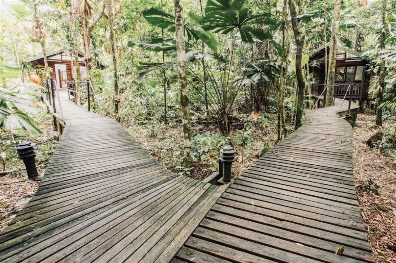 Daintree Wilderness Lodge Kültér fotó