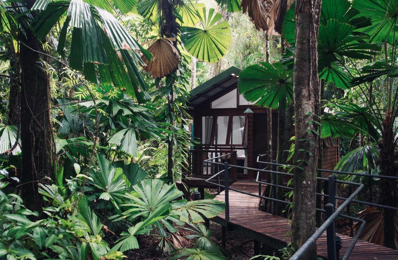 Daintree Wilderness Lodge Kültér fotó