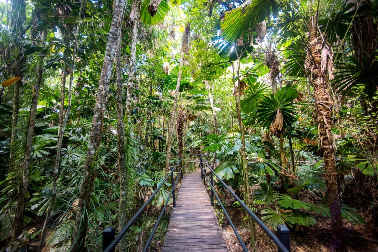 Daintree Wilderness Lodge Kültér fotó