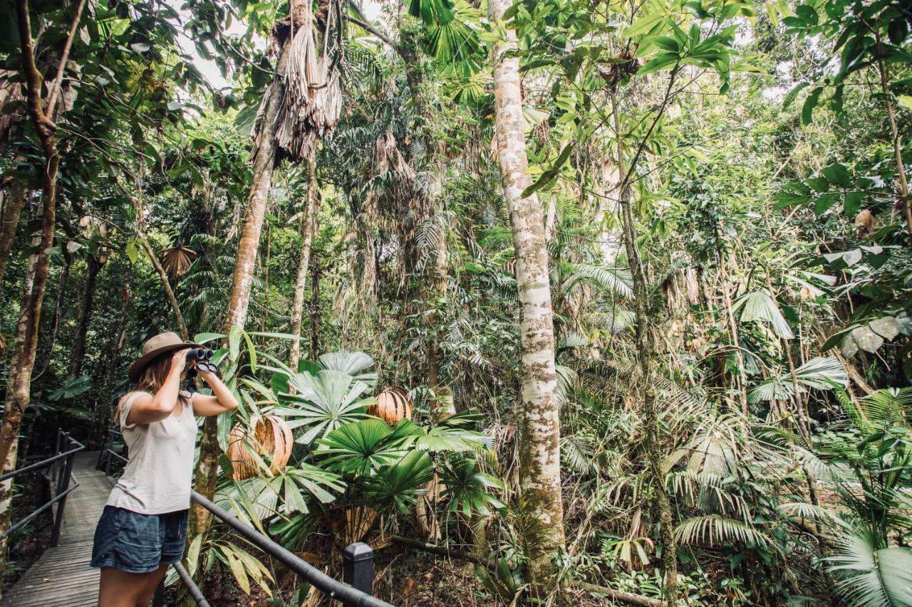 Daintree Wilderness Lodge Kültér fotó