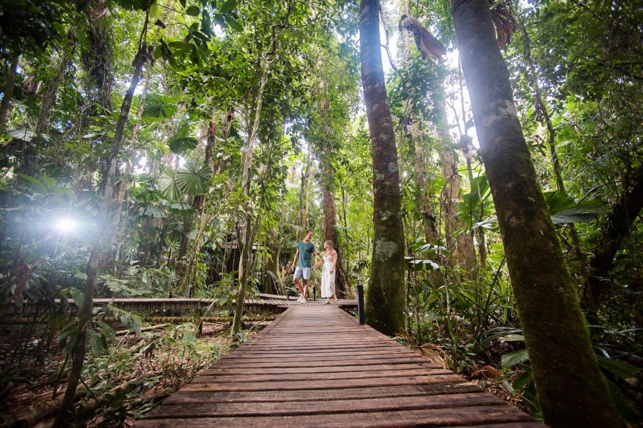 Daintree Wilderness Lodge Kültér fotó
