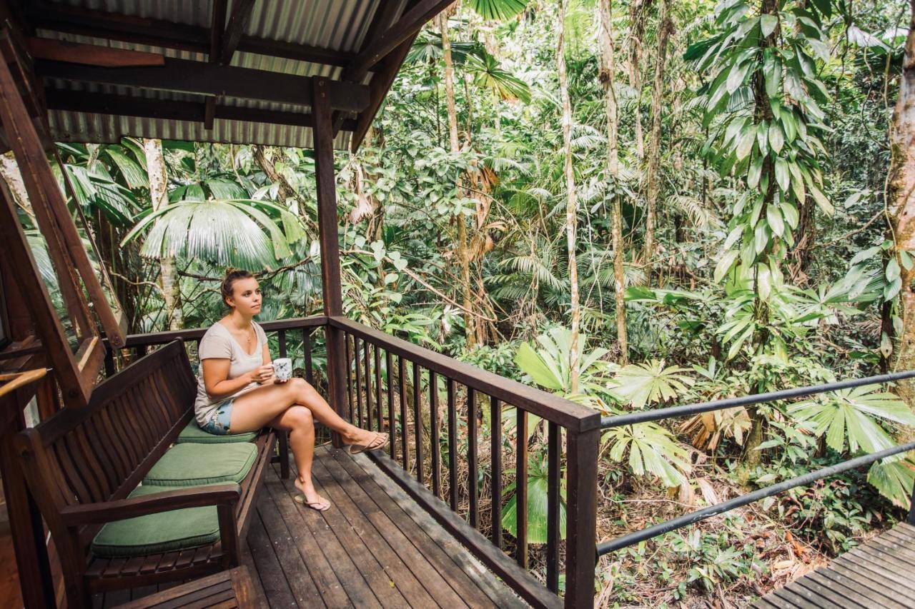 Daintree Wilderness Lodge Kültér fotó