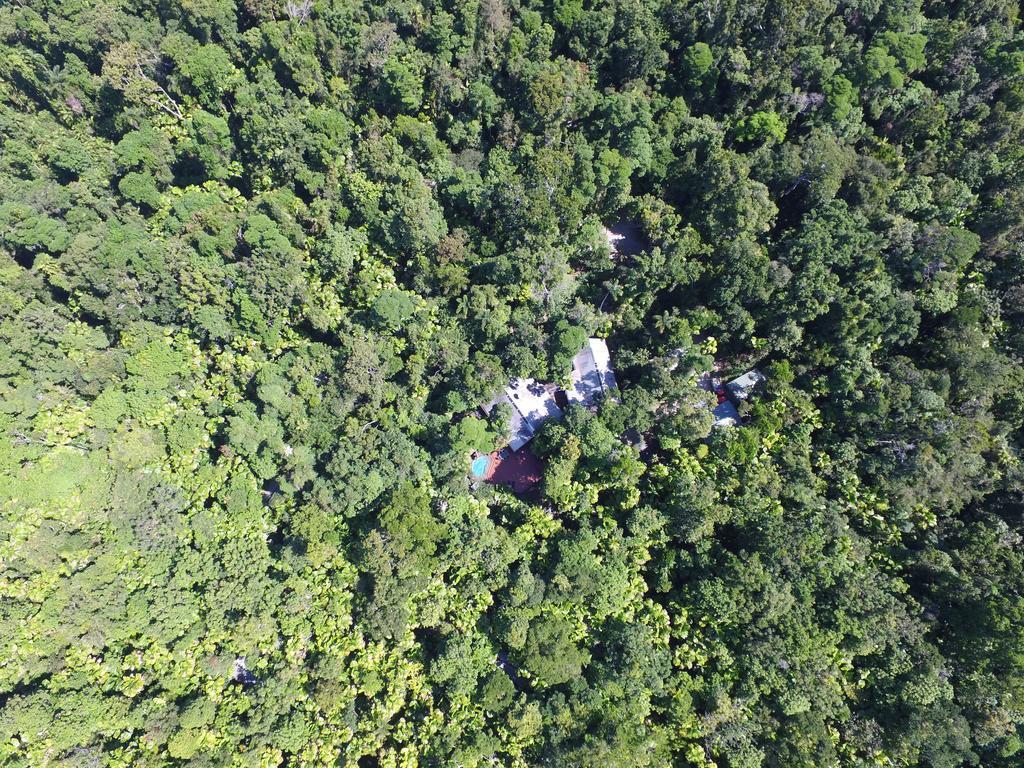 Daintree Wilderness Lodge Kültér fotó