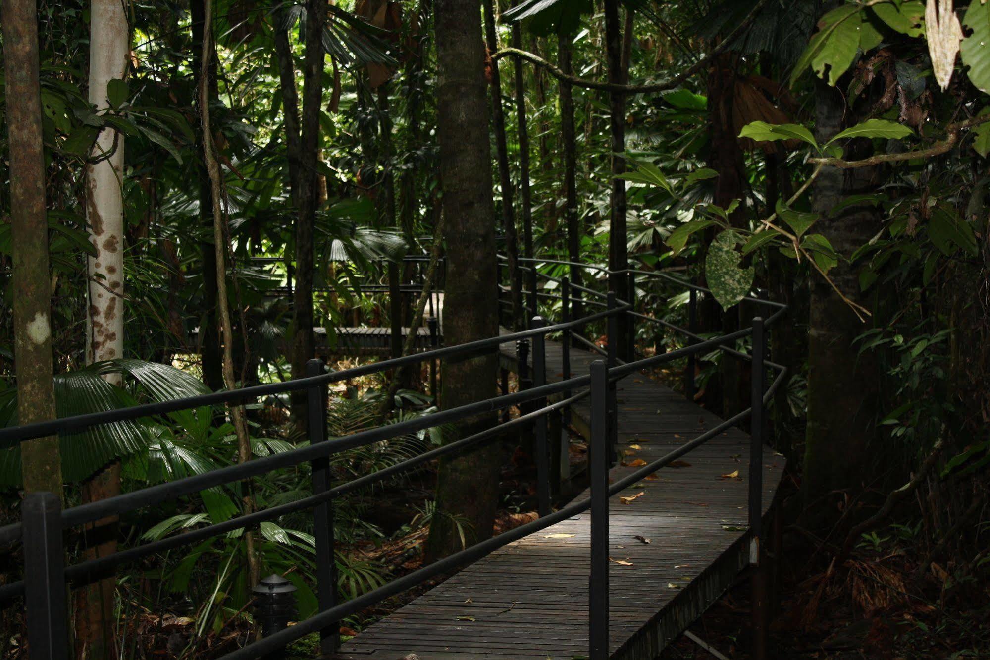 Daintree Wilderness Lodge Kültér fotó
