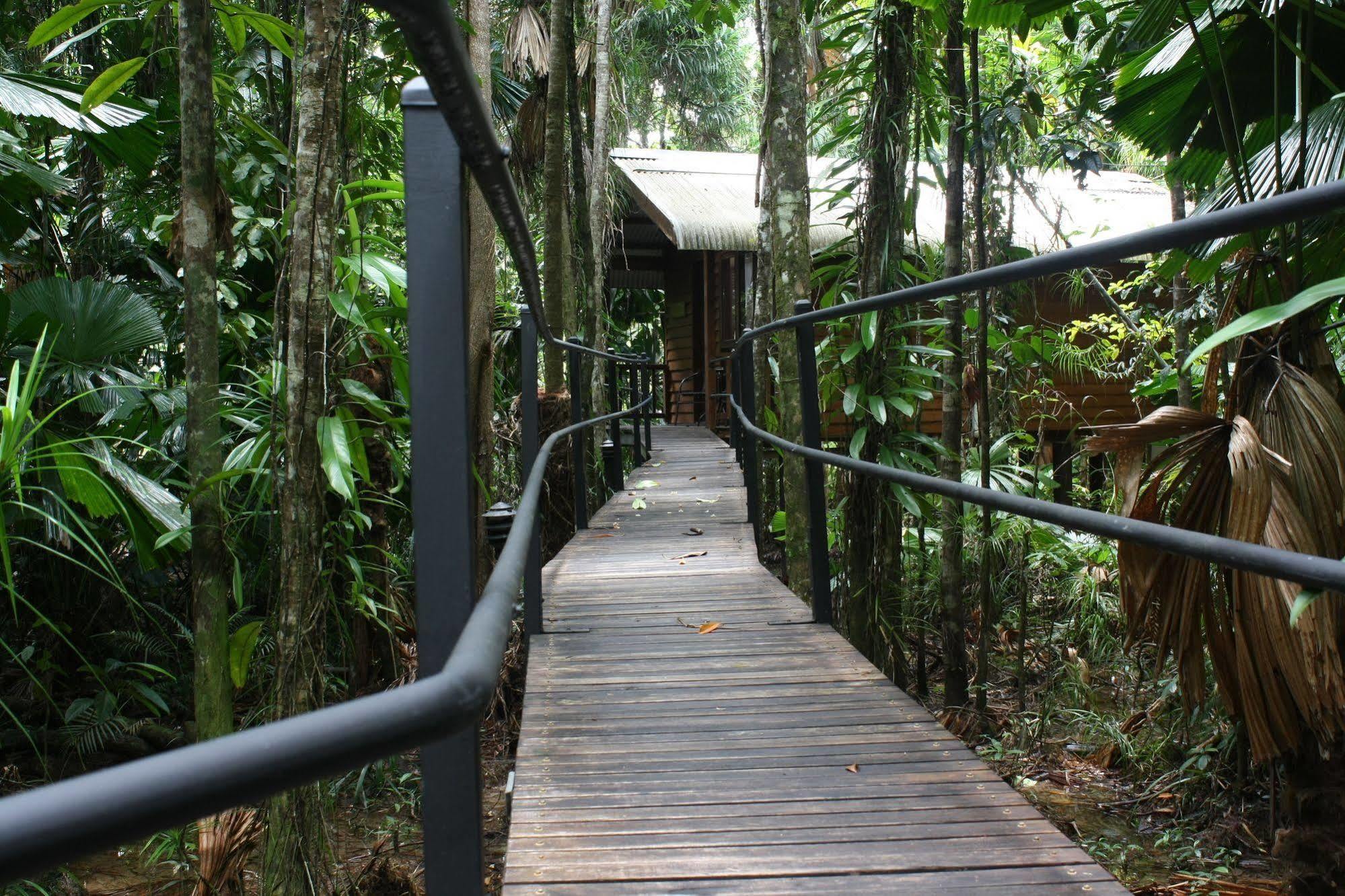 Daintree Wilderness Lodge Kültér fotó