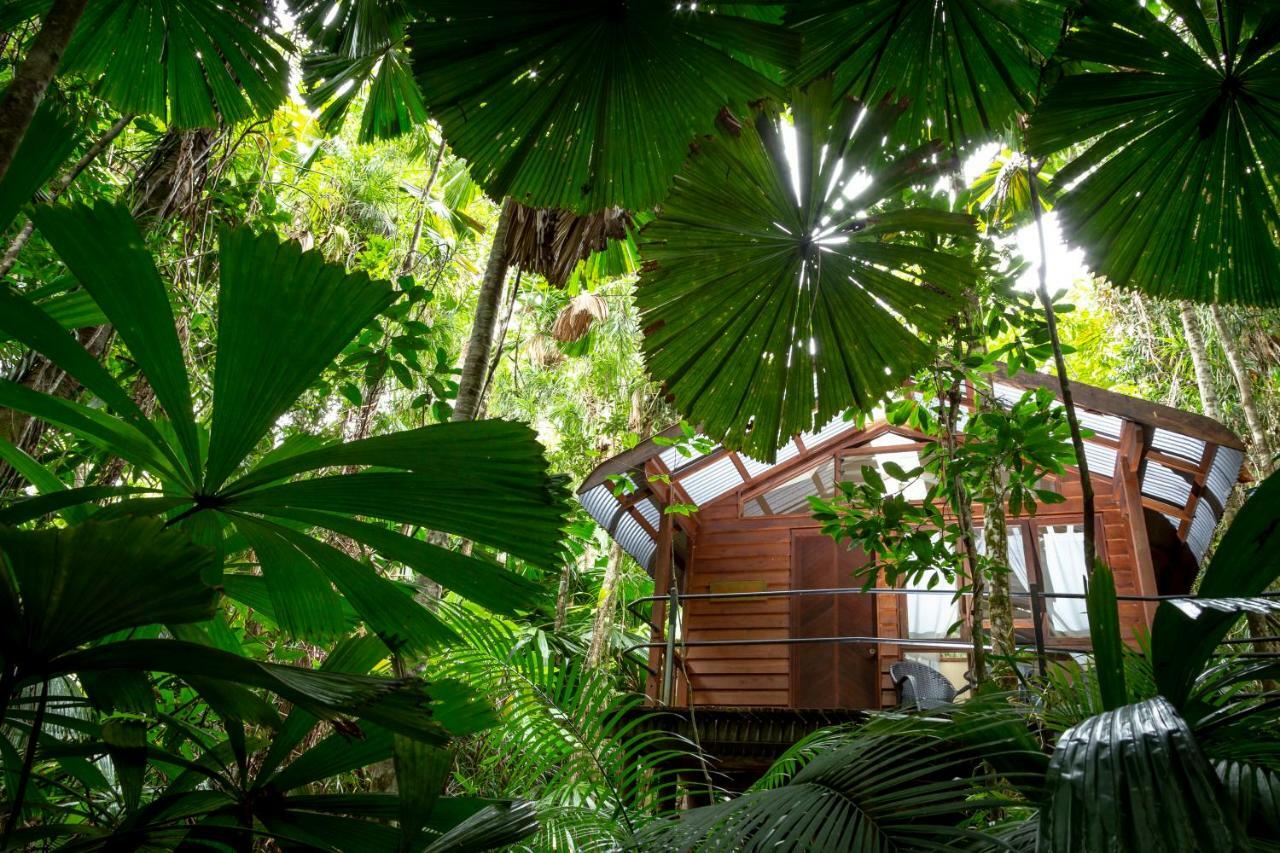 Daintree Wilderness Lodge Kültér fotó